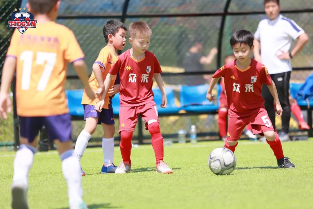 校队风采,校师团队风采