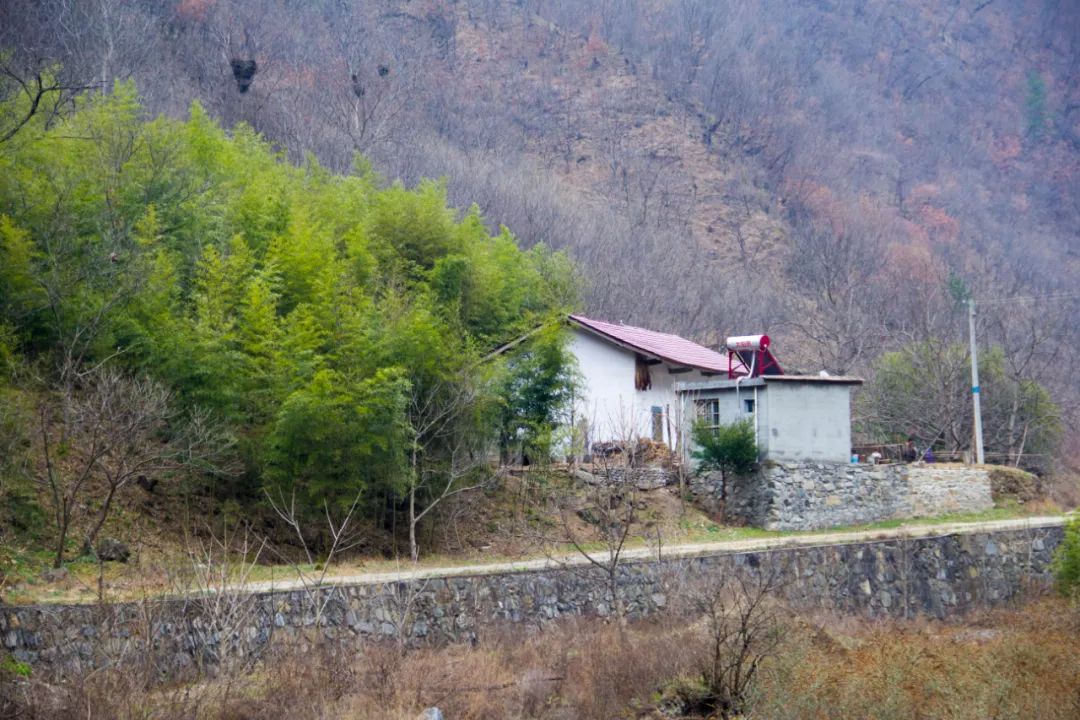 疫情让秦岭山村变得更加寂静，寻访秦岭坪沟，尽量不主动接触村民