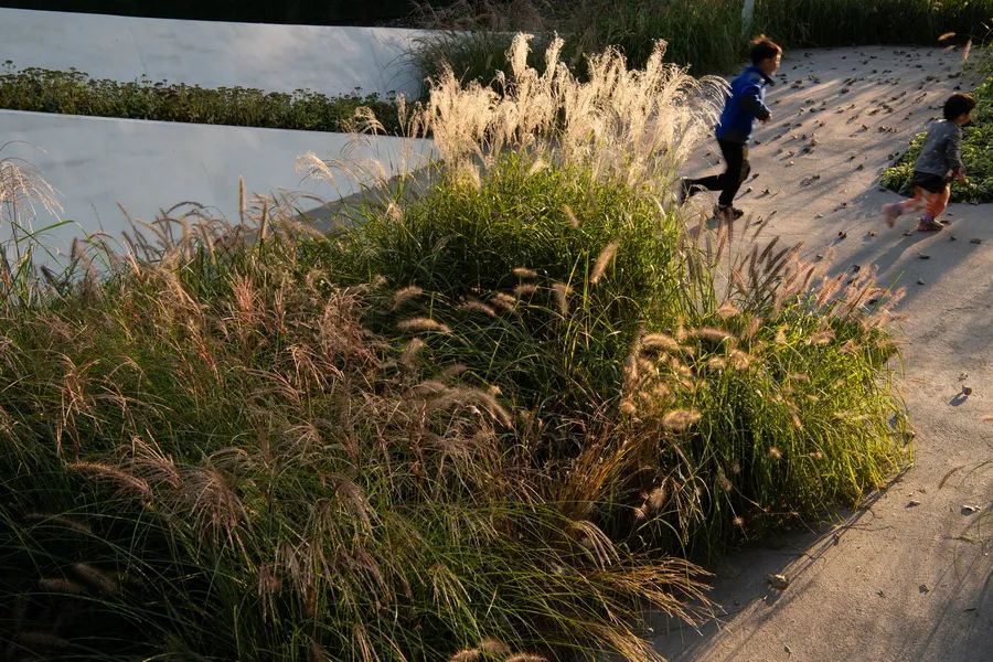 北京海淀光合公园在哪,海淀光合公园平面图