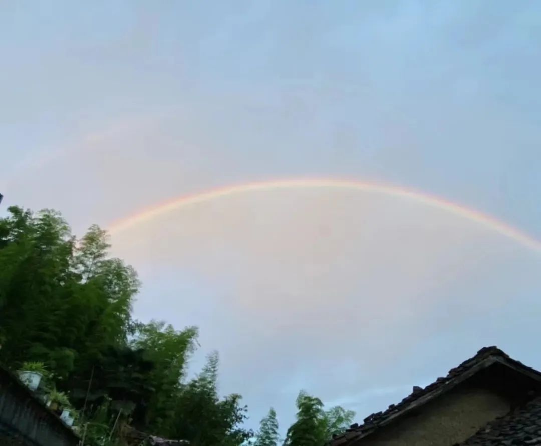 胃酸反流的烧心最佳解决方法,胃酸烧心反流的最佳解决方法