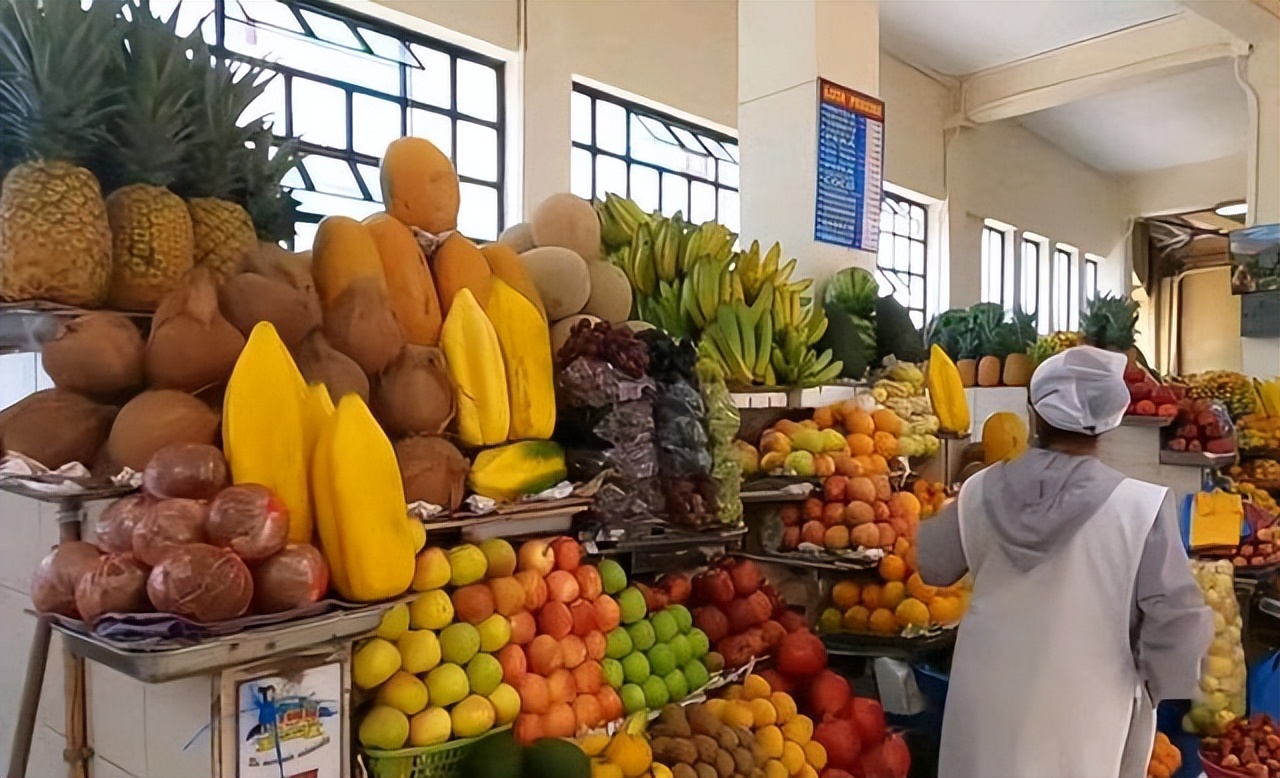 厄瓜多尔的血泪史,了解厄瓜多尔视频