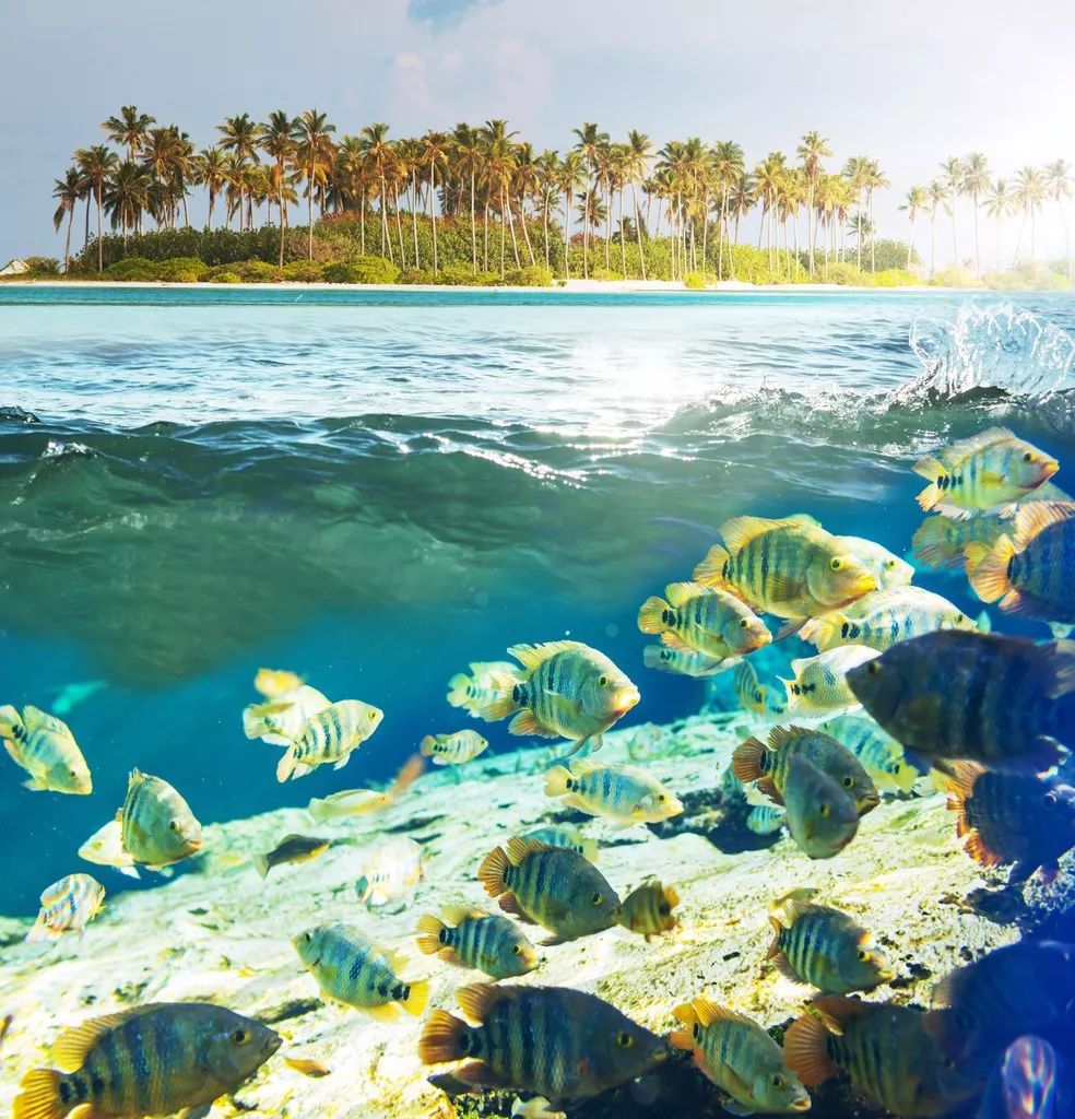 泰国自驾游攻略路线,泰国巴厘岛旅游攻略