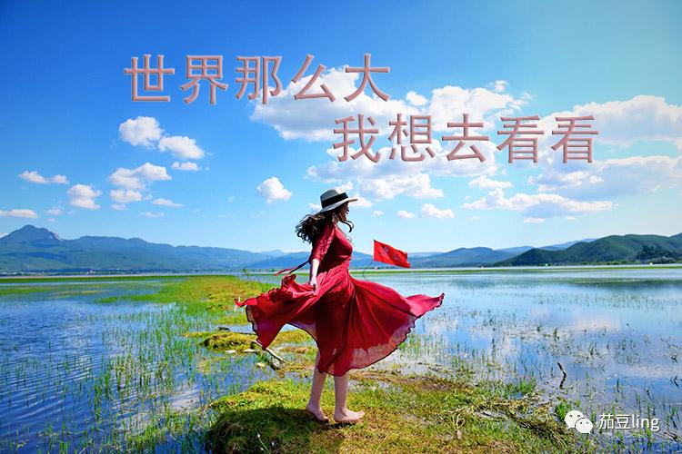 共享旅游卡项目怎么做？教你旅游卡推广赚钱的方法！