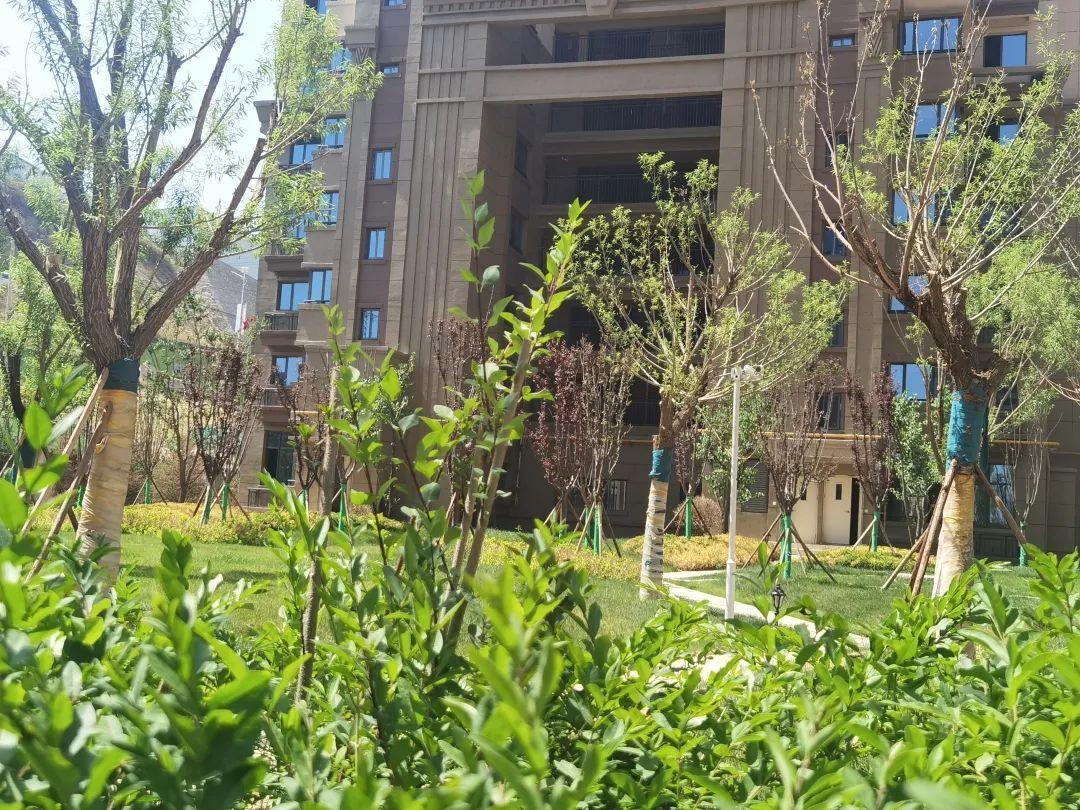 兰州恒大未来城兰州,兰州大名城与兰州恒大未来城比较