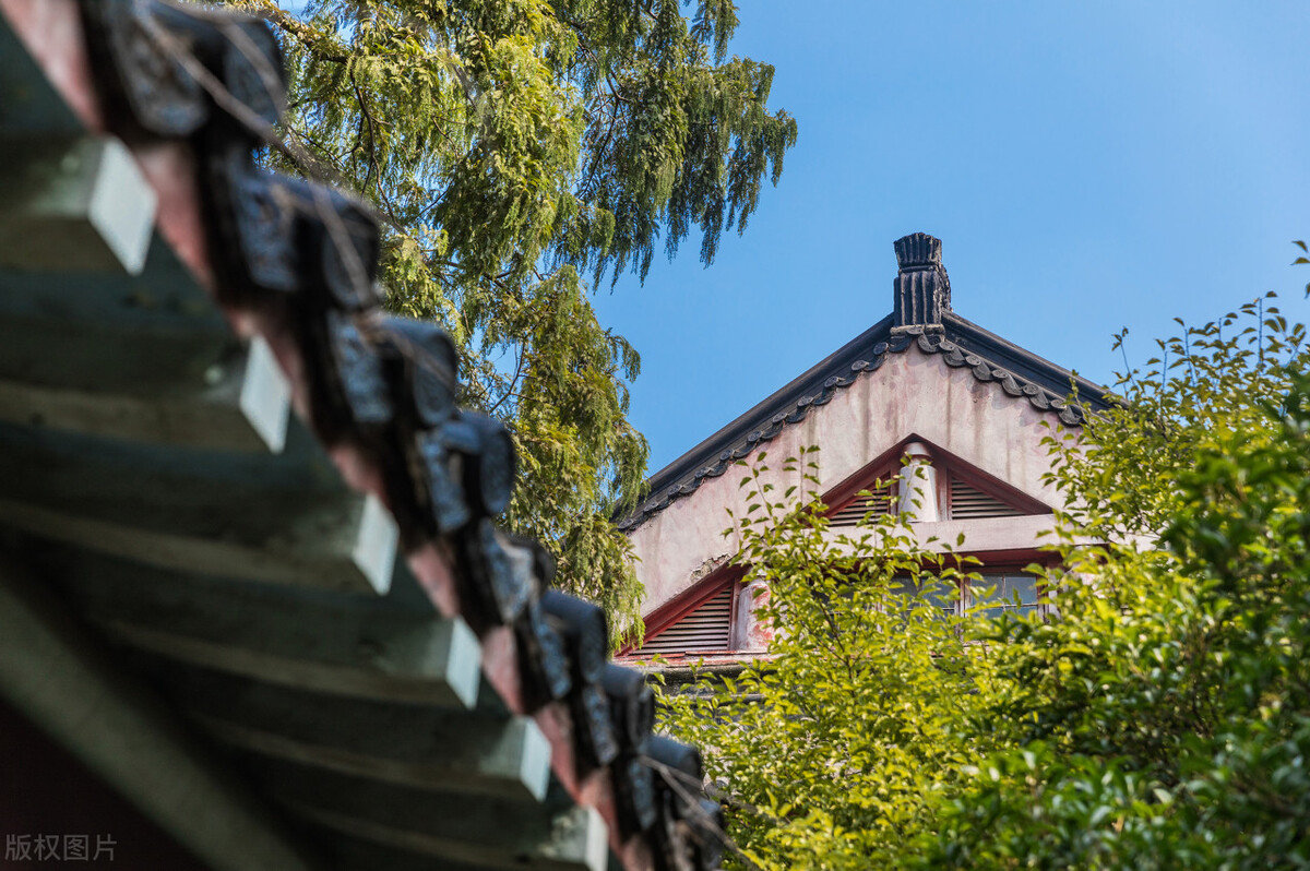教师教学特色展示,名师教学的秘诀