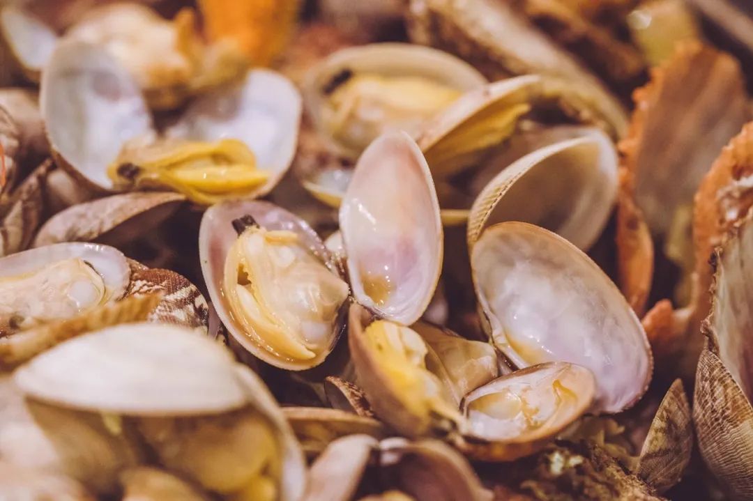 疫情快过去吧，我不想错过这座海滨老城的春天