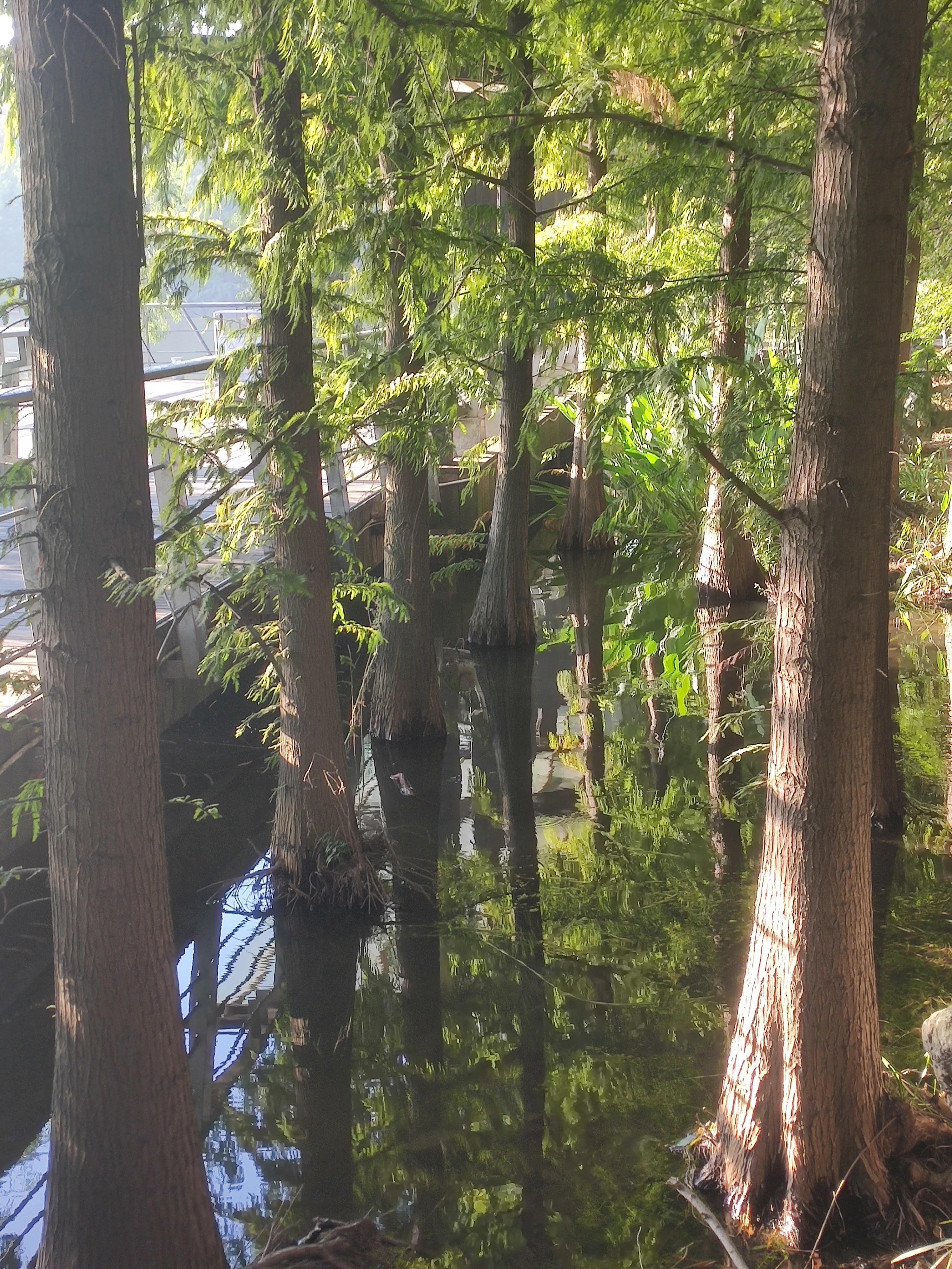 靖江周围有哪些特色旅游景点,不输5a的景区