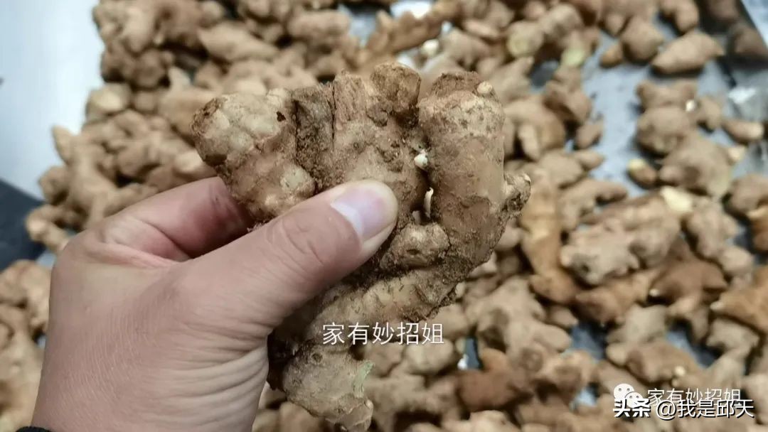 买生姜时你一般是哪种习惯,买生姜该怎么选