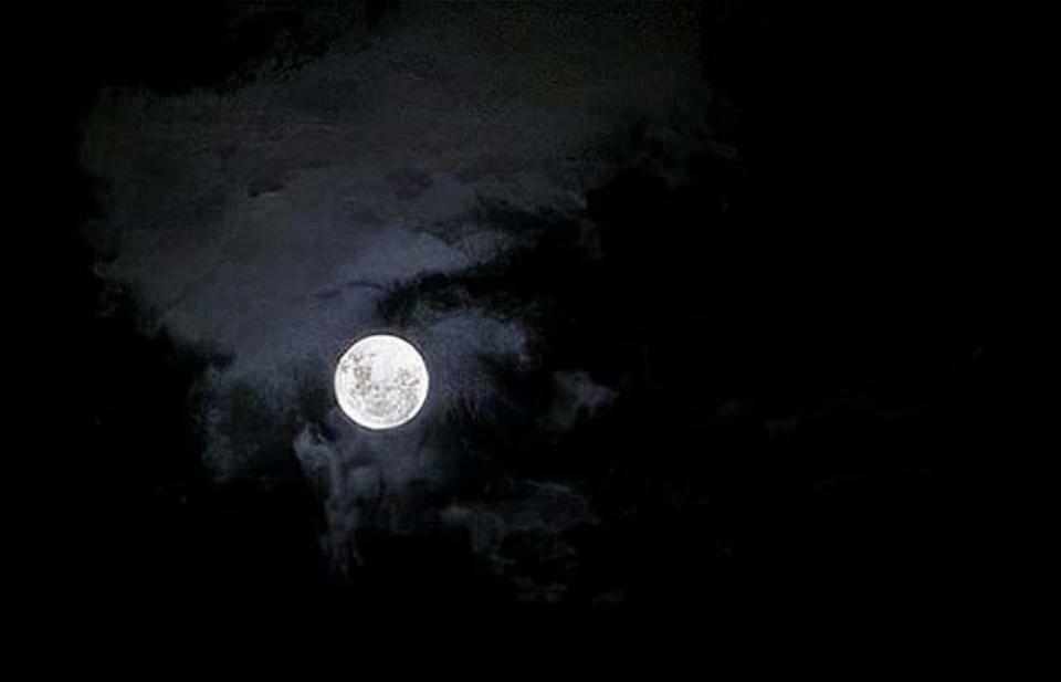 巨蟒报恩,千年巨蟒来报恩