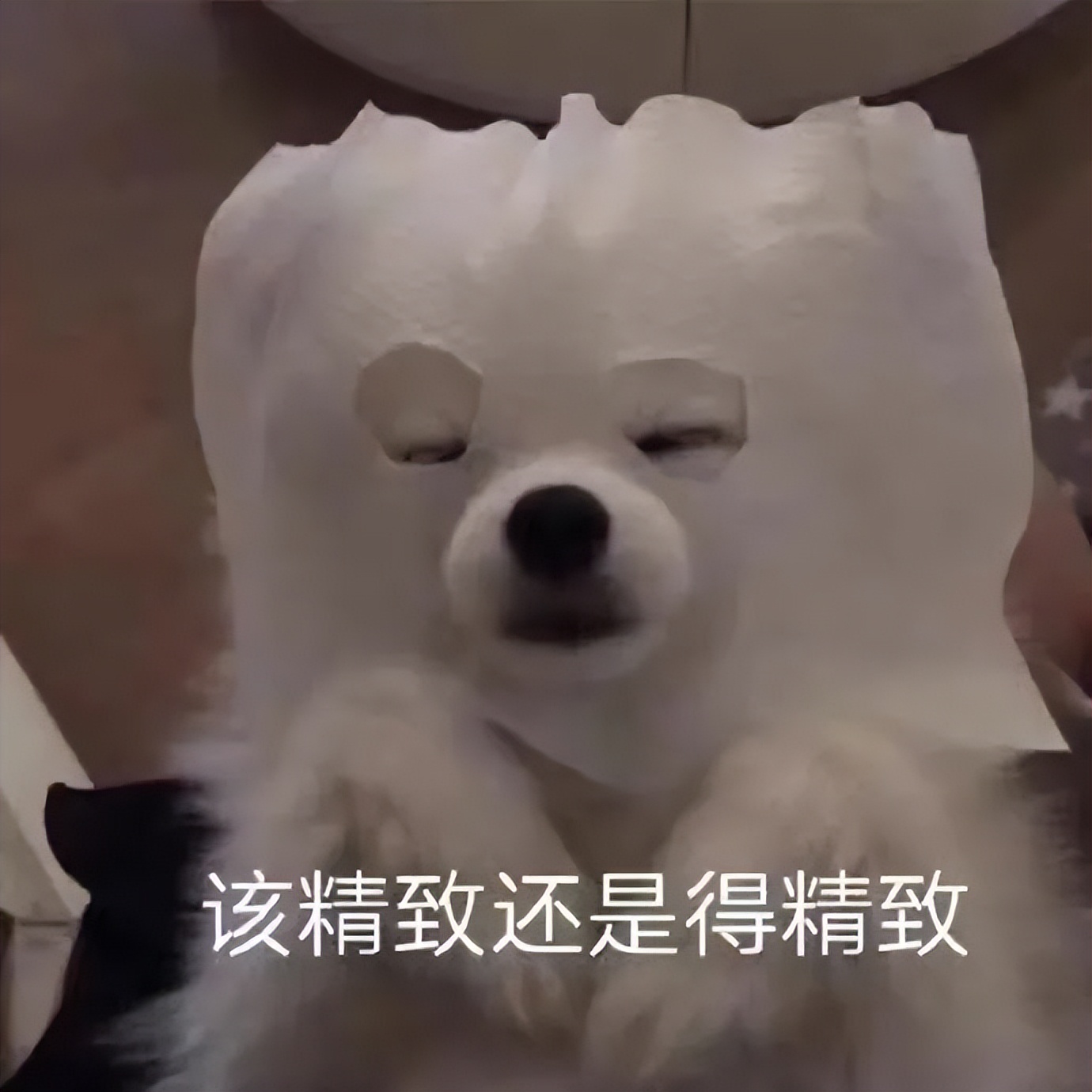 护肤品竟有这么多“王炸CP”,这几组我先磕为敬