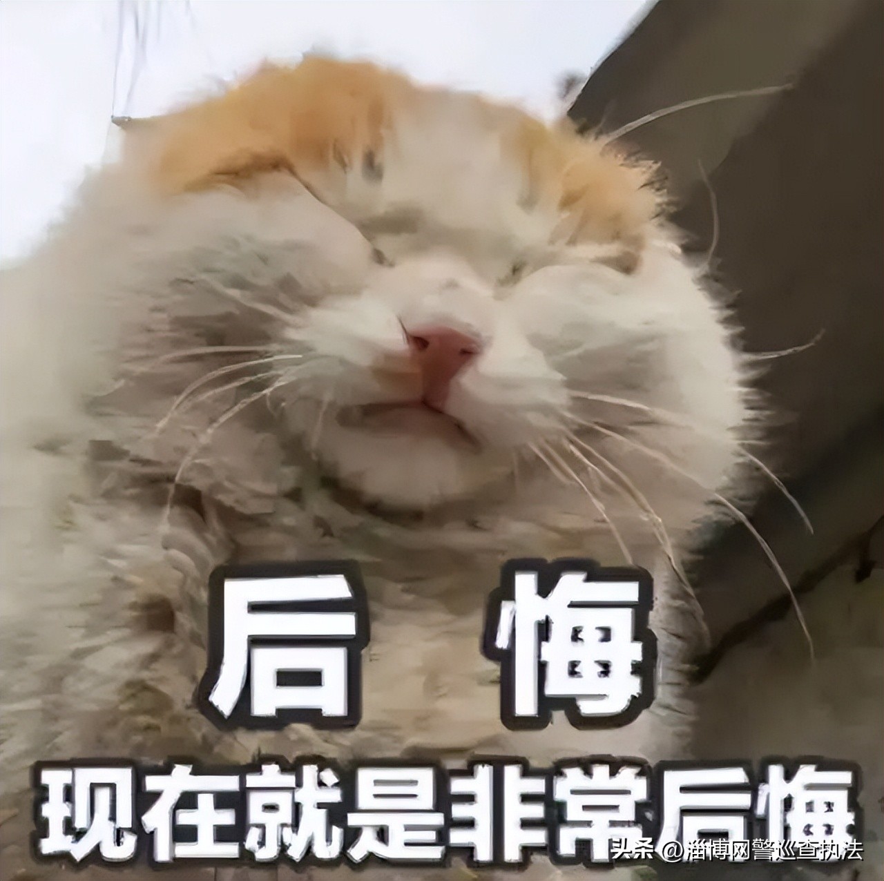 引流诈骗团伙落网,免费送商品诈骗案例