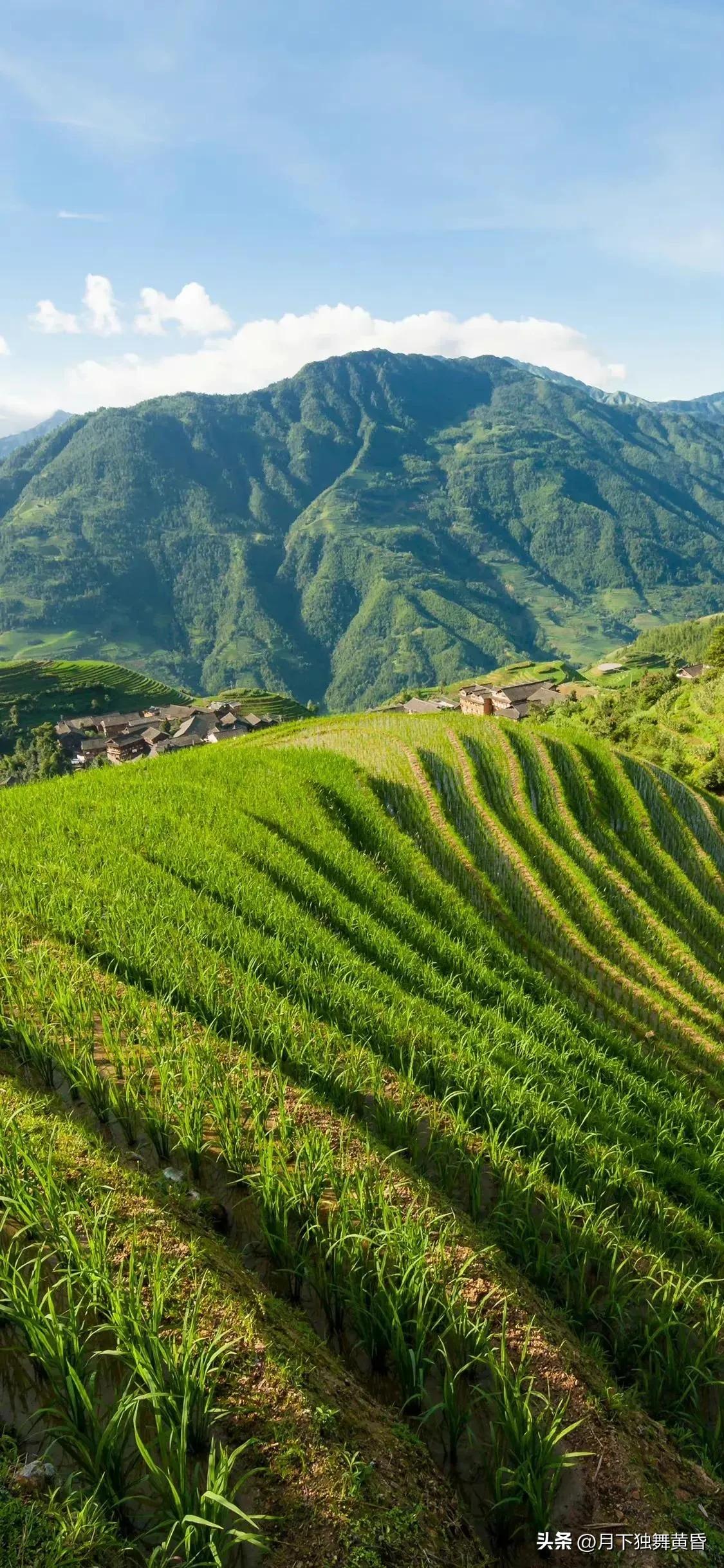 夏天壁纸图高清,壁纸夏天的太阳