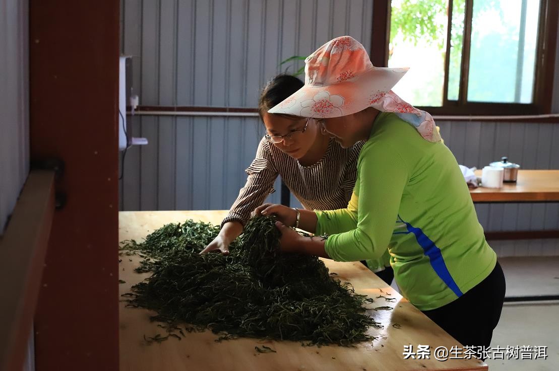 普洱茶每个步骤都需要精湛的工艺,了解普洱茶的必备知识有哪些方面