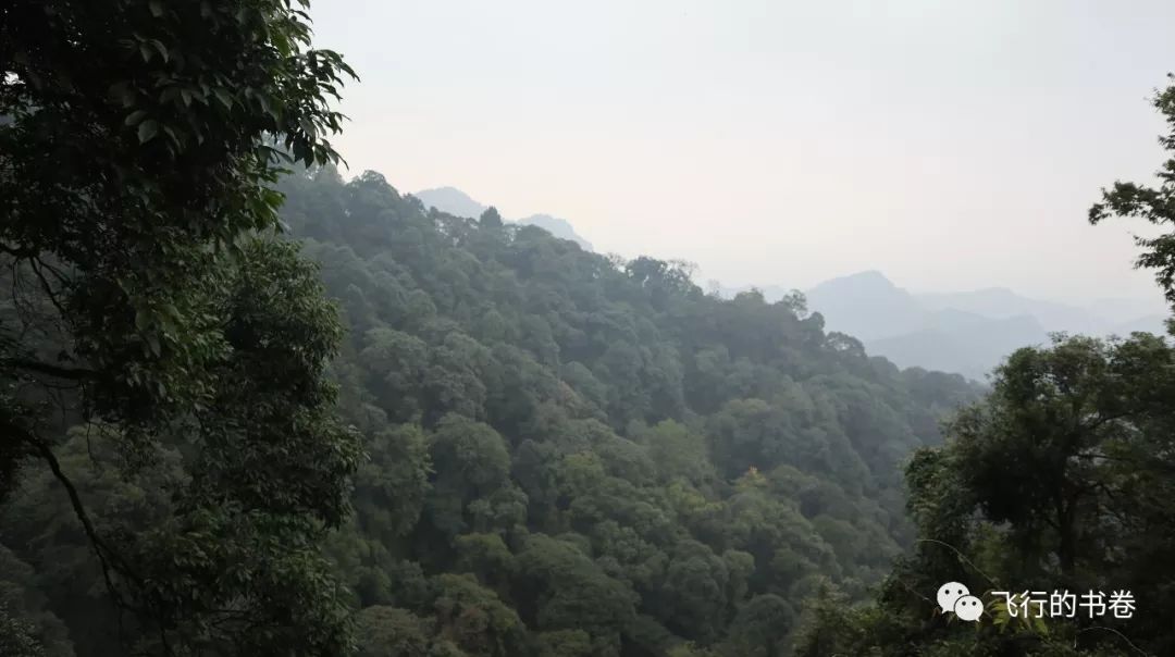 道教四大仙山你爬过几座,青城山为什么被称作道教第一山