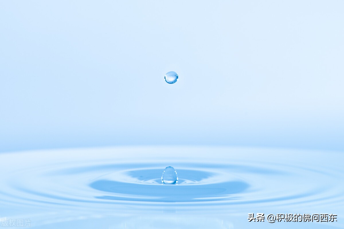 写小说取名素材大全集,第一章全是名字的小说