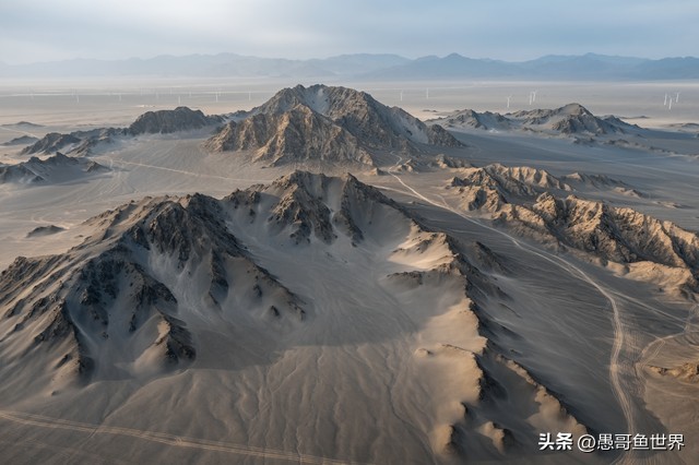 青海湟鱼那么多为什么要保护,救命的青海湖湟鱼