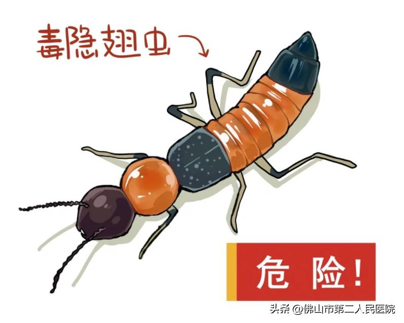 穿黄色衣服惹虫,春天穿黄色衣服招虫吗