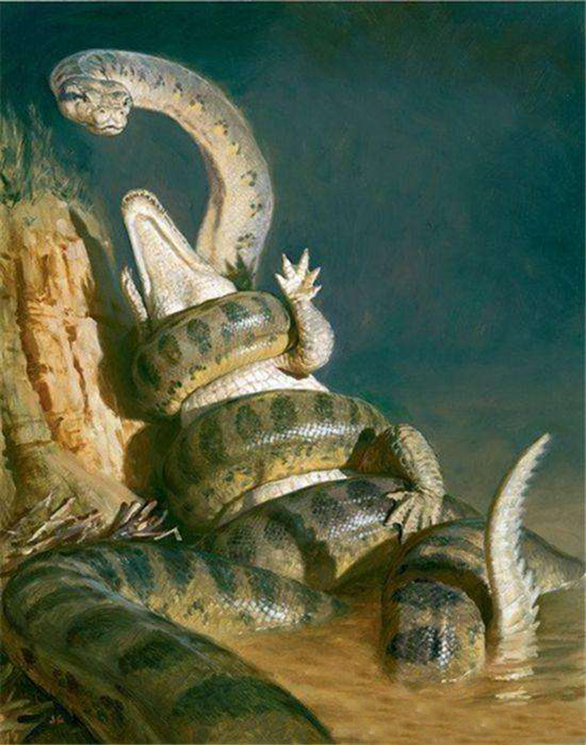 史前泰坦巨蟒到底有多长,泰坦巨蟒最大可以长到多大