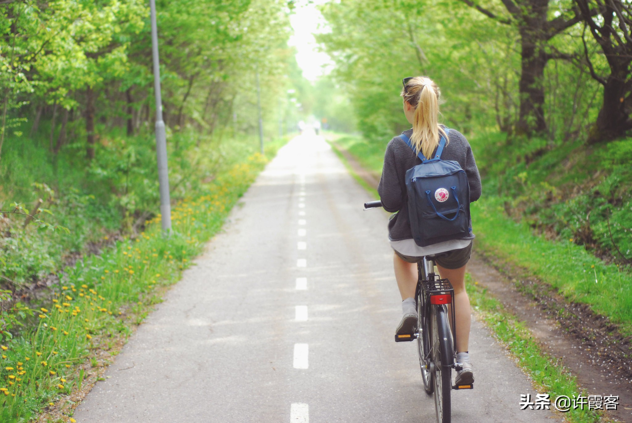 现在的瑞典现状,瑞典现状