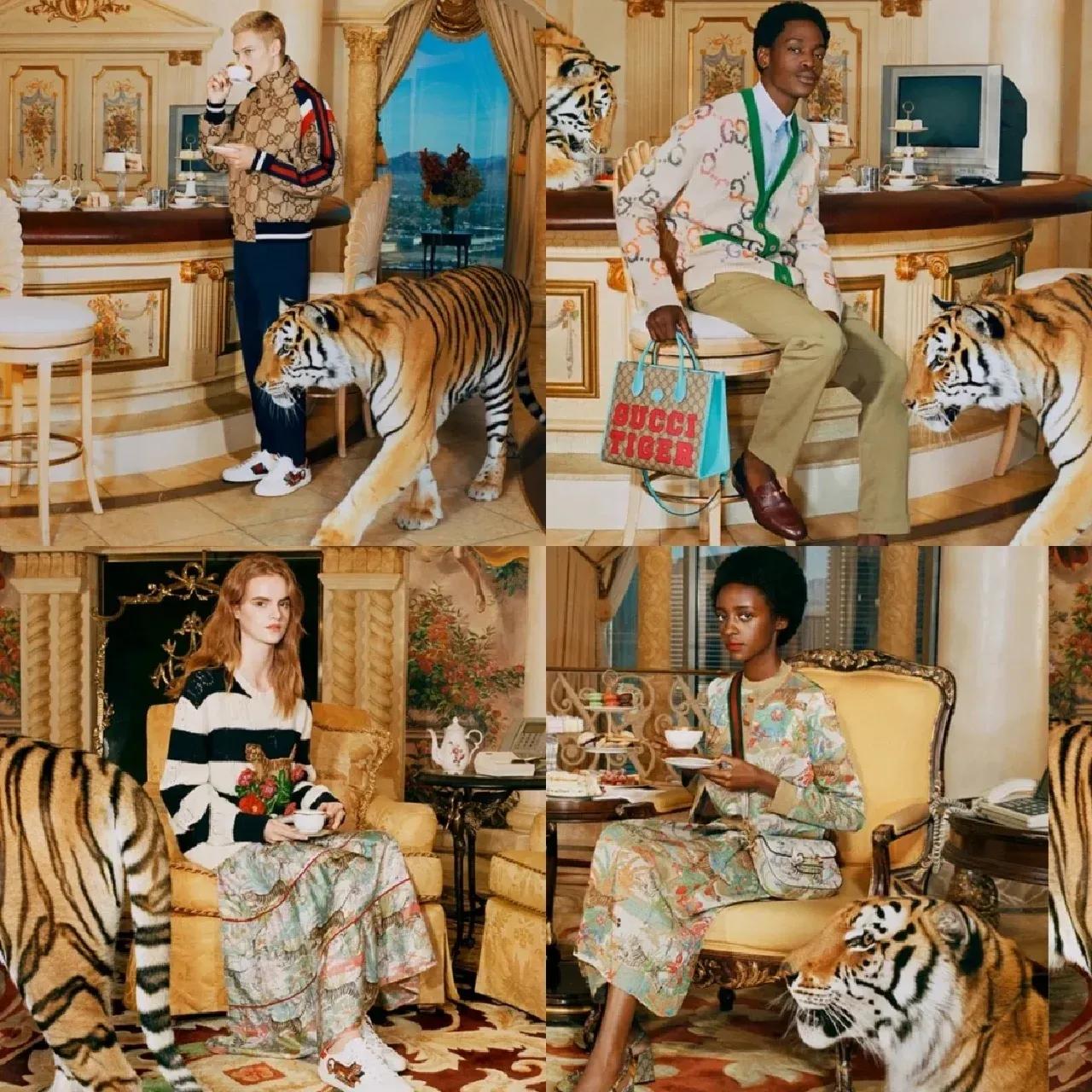 每天认识一个品牌mlb,每天认识一个品牌ysl