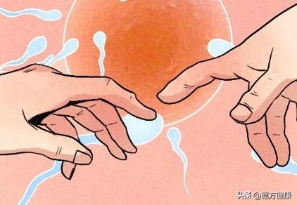 男女身体差别视频,男女身体差距