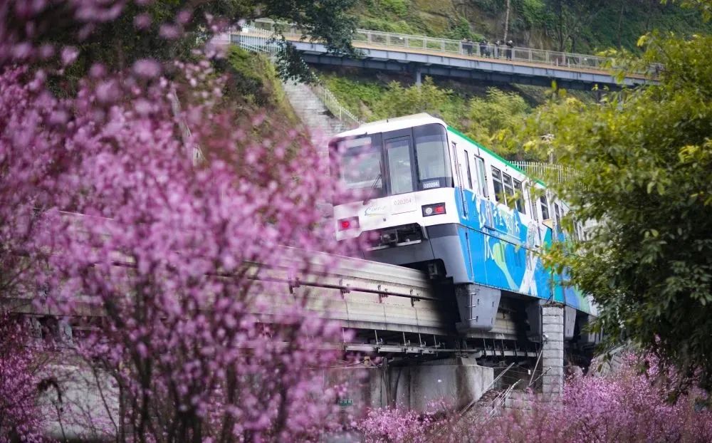 关于春天的古诗1000首,春天桃花古诗大全100首