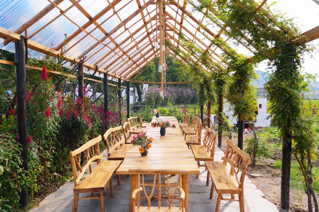 湖北黄冈旅游景点值得去的有哪些,黄冈去哪里旅游最便宜又好玩