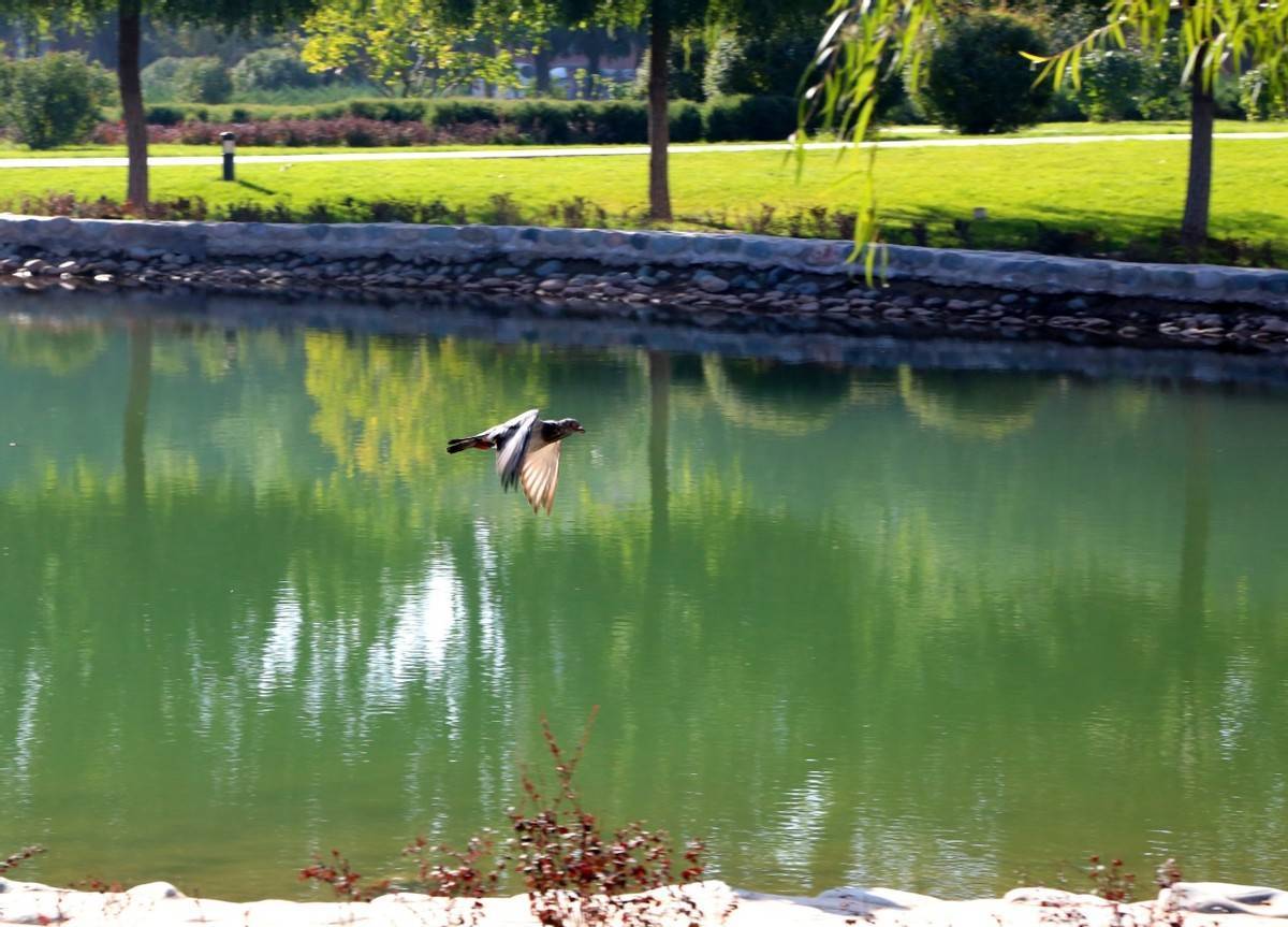 河西学院:多学科协调发展新增酿酒工程和*物文**与博物馆学本科专业