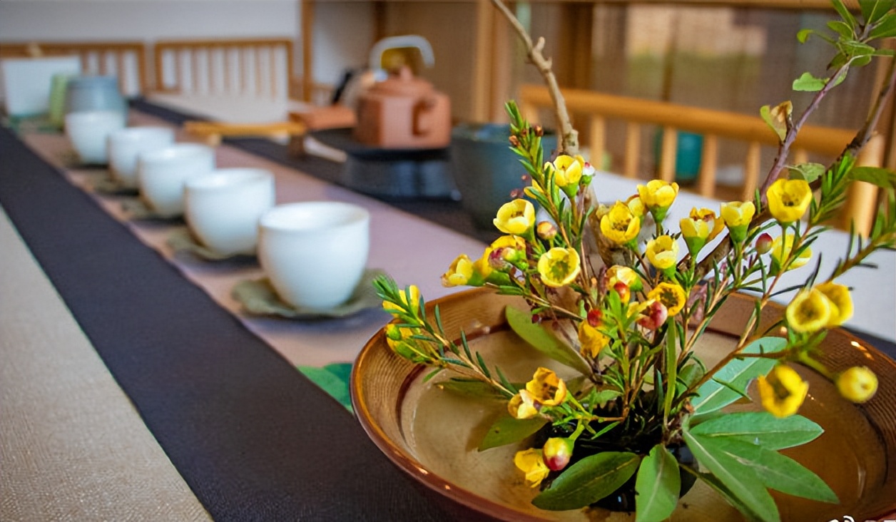 普洱茶友喝茶历程表,普洱茶界顶级茶痴