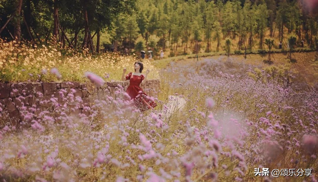 忍一时之气免百日之忧免费阅读,忍一时之气免百日之忧什么意思