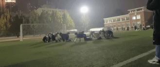 最流行三大运动,最火的十大运动