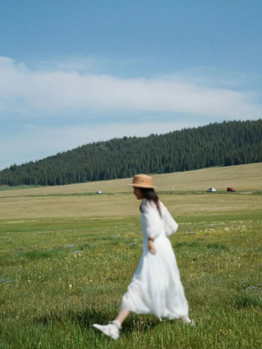 适合夏天避暑旅游的地方,适合夏天避暑的旅游地方