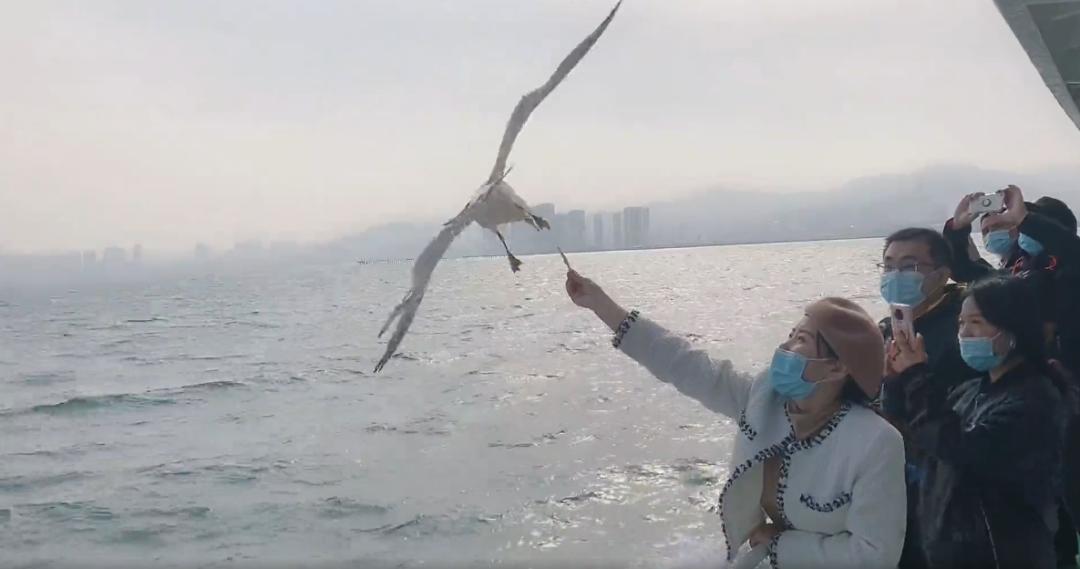 阳光正好周末出去走走,阳光明媚的周末游