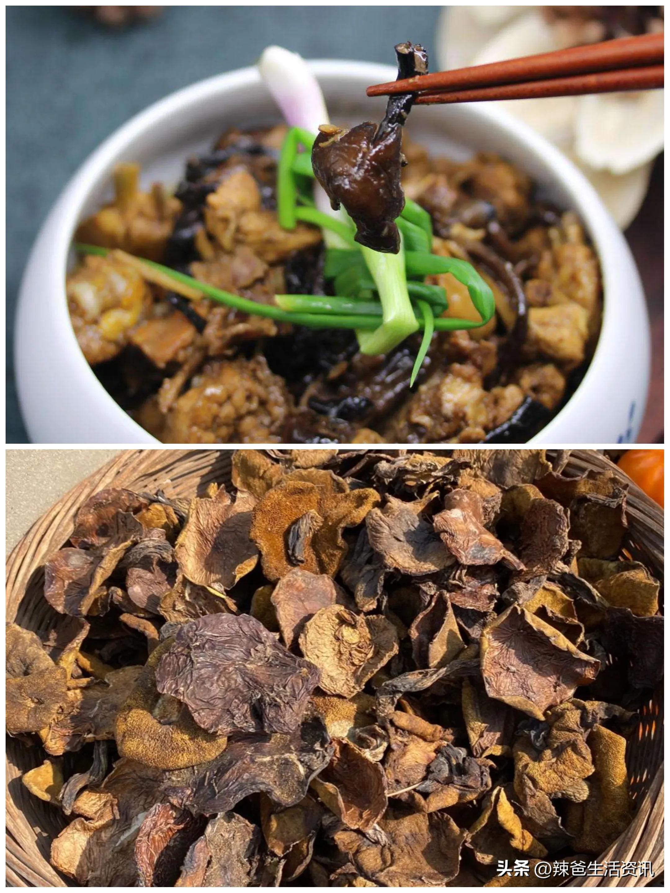 去青岛旅游海鲜怎么带回家,去青岛旅游能吃到海鲜吗