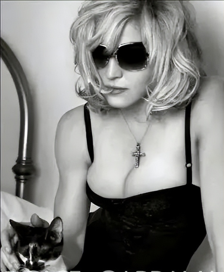 知名女星被爆性侵 (女明星偷情事件)