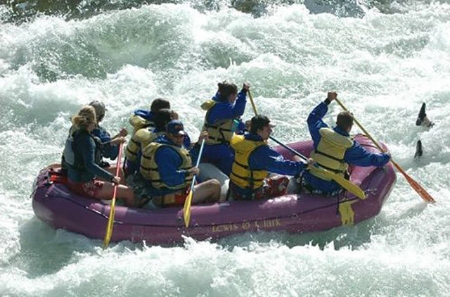 世界上最壮的牛照片,世界最壮的牛图片