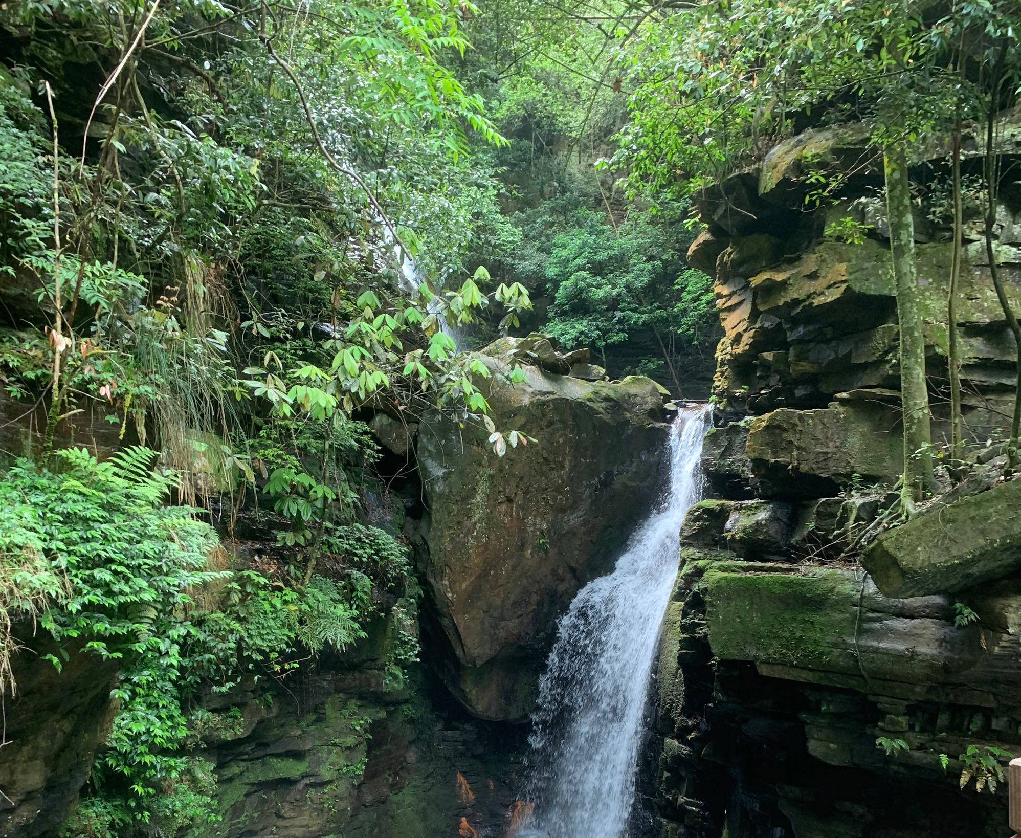 高高的紫云山,我们的青春故事曾在这里演绎