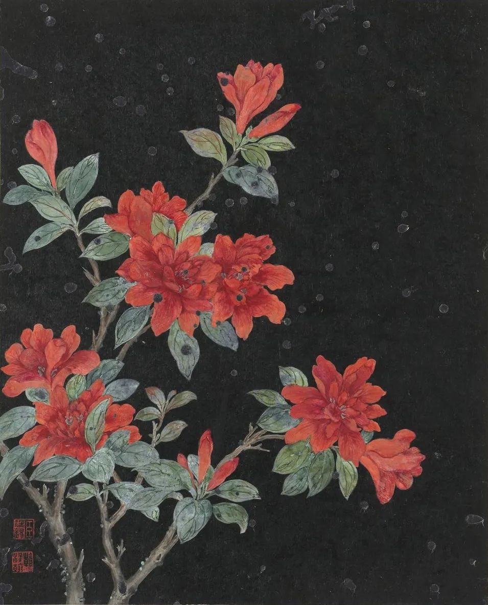 慕容看世界的视频,慕容看世界所有视频