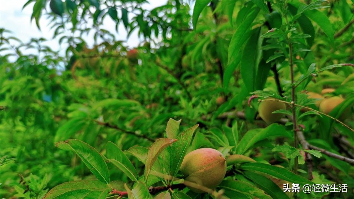 骑记旅行最新视频无锡,骑记旅行全部视频