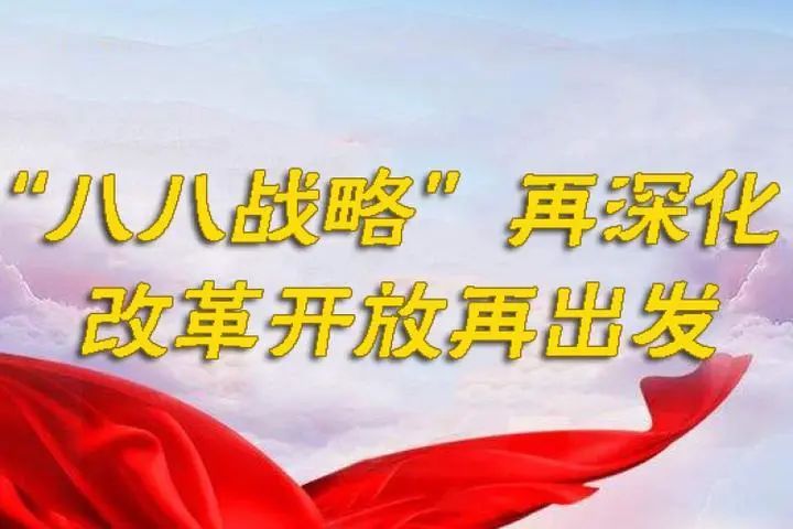 在大桥镇践行“八八战略”的五年回眸