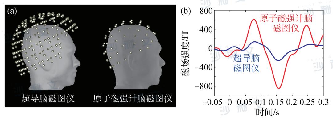 深度探究脑科学记忆5个硬核方法,脑电图基础知识科普最全图文并茂