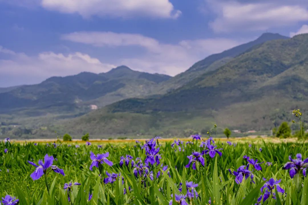 5·19幸福旅程从保山开始丨腾冲部分景区5月开始,一次购票7日有效!