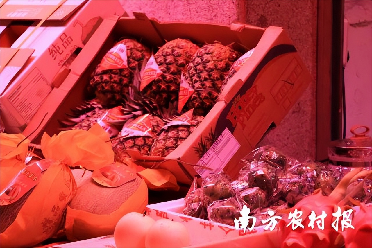 深圳海吉星菠萝一斤多少钱,平湖海吉星菠萝批发