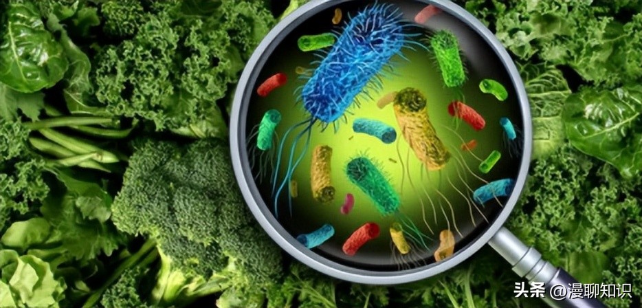 马传染性子宫炎传染性较强，它的传播途径有哪些