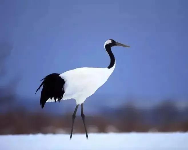 学会释然是治愈心疾的良方,疗愈心灵的学会宽恕的书