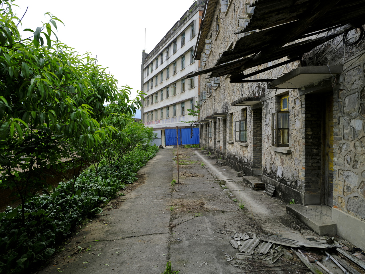 宜都717三线工厂,宜都717厂历史