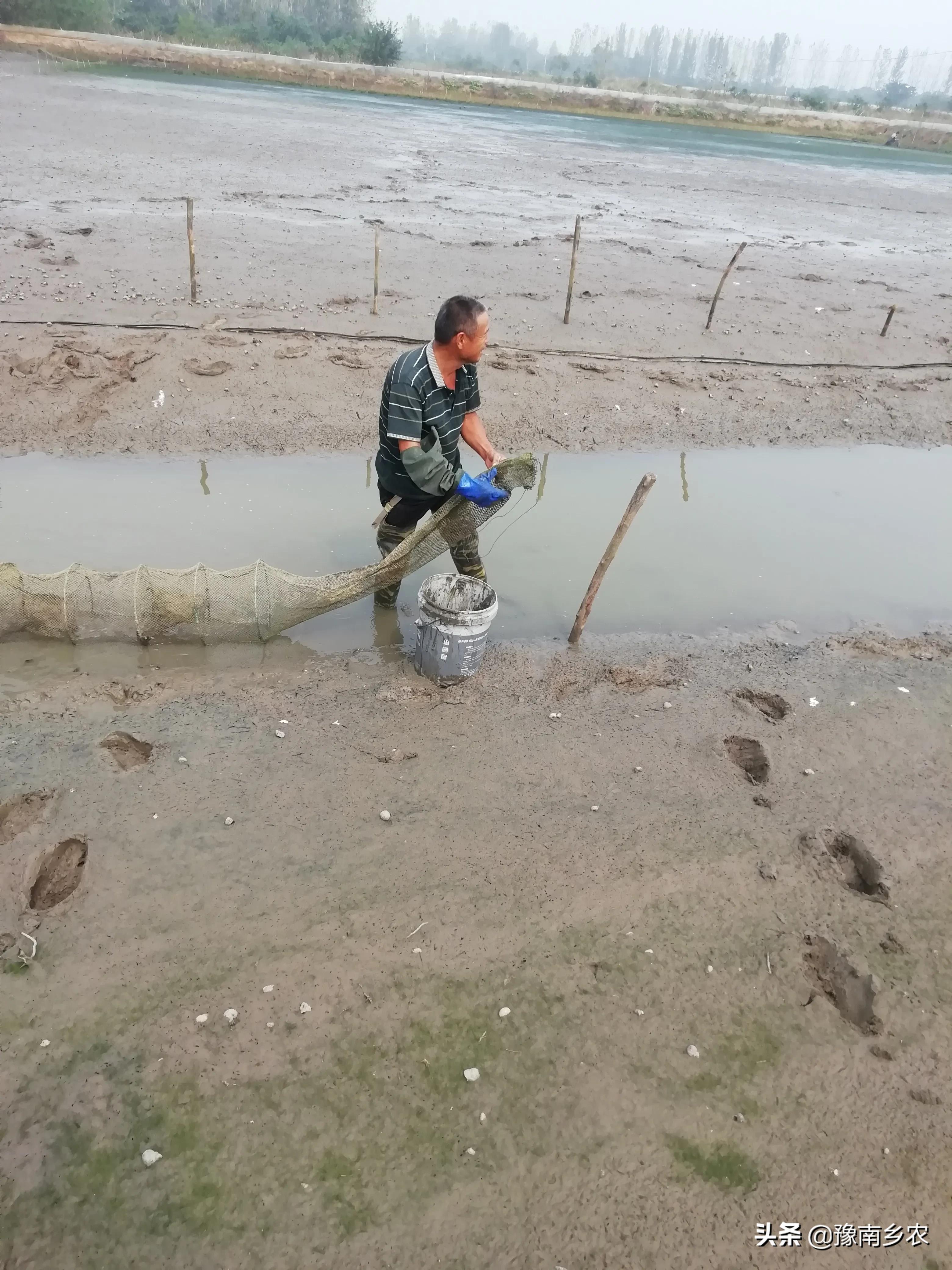 乡村回忆：邻居赚钱旁门左道，后悔之后已经晚了
