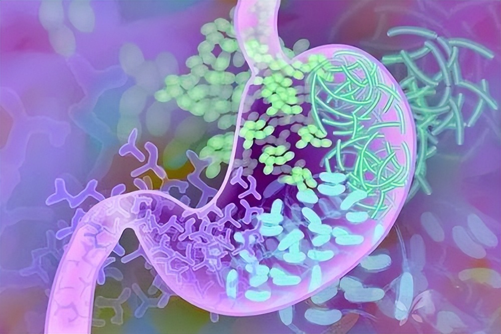 如何辨别自己是否感染幽门螺杆菌,怎么确认自己感染了幽门螺杆菌