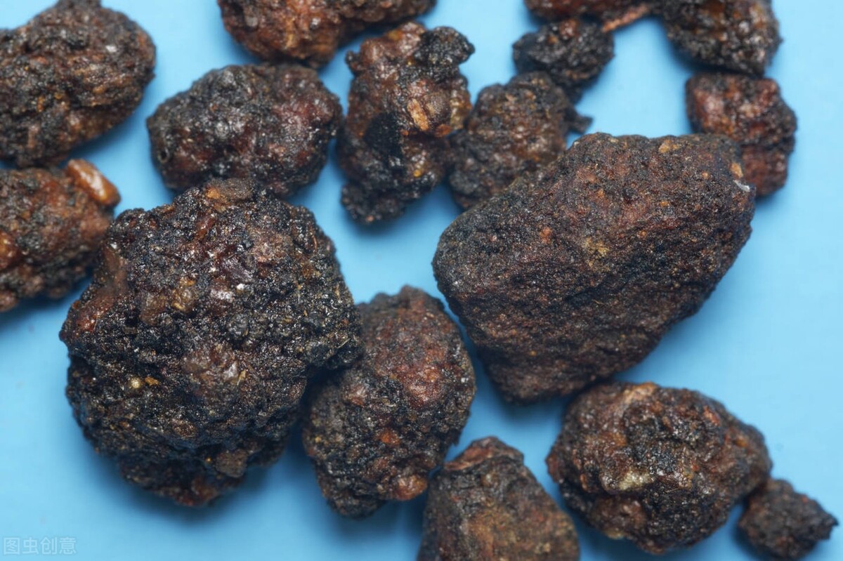 中医养心养血秘方,一味中药补血补肾