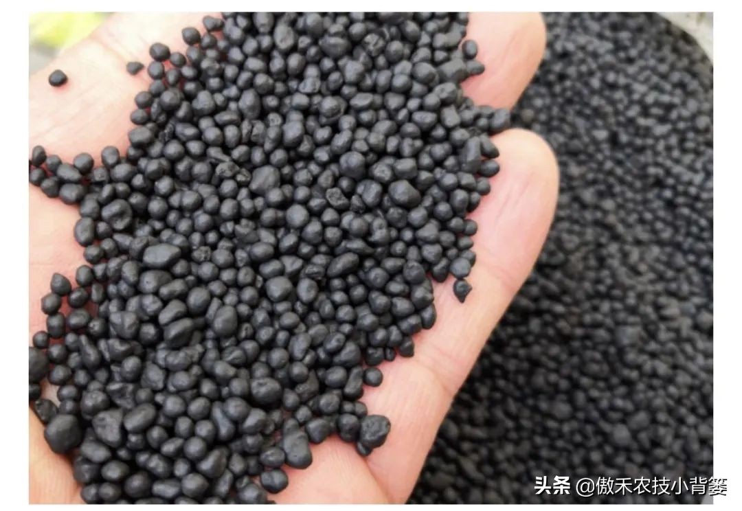 菌肥和菌剂的区别,菌肥与有机肥的区别